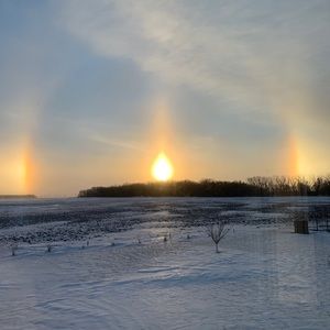 Meet your Posher, Liz